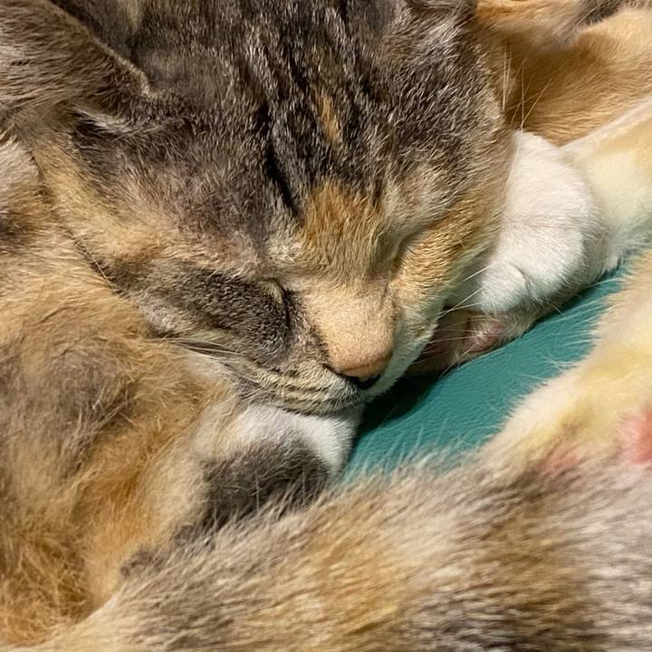 B079f456 5922 491a a289 764beebfbec3 1615728682010