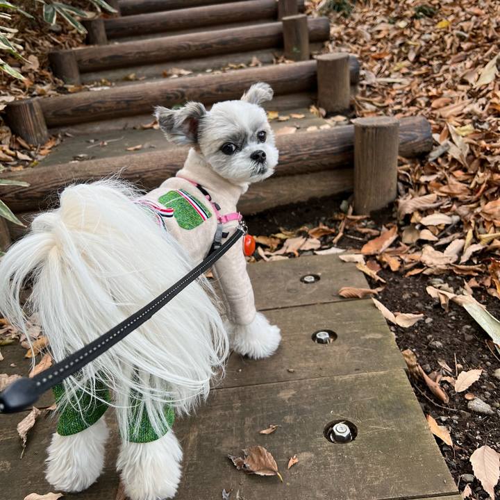 B07a32de a9a2 4825 b58f b6b72acc77b5 1671629495873