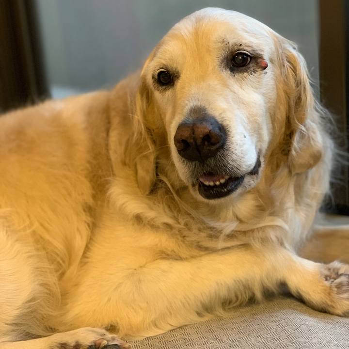 B07abecd 20d2 4ff1 a1f7 6f2c44288c19 1615117510943