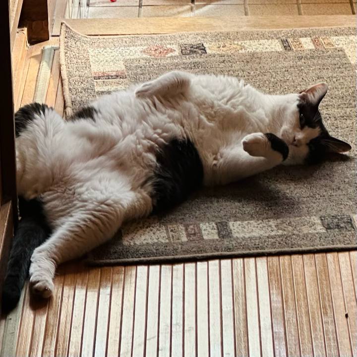 B07af06f 1ae9 4c45 81ad 02a9f4019b29 1726622283352