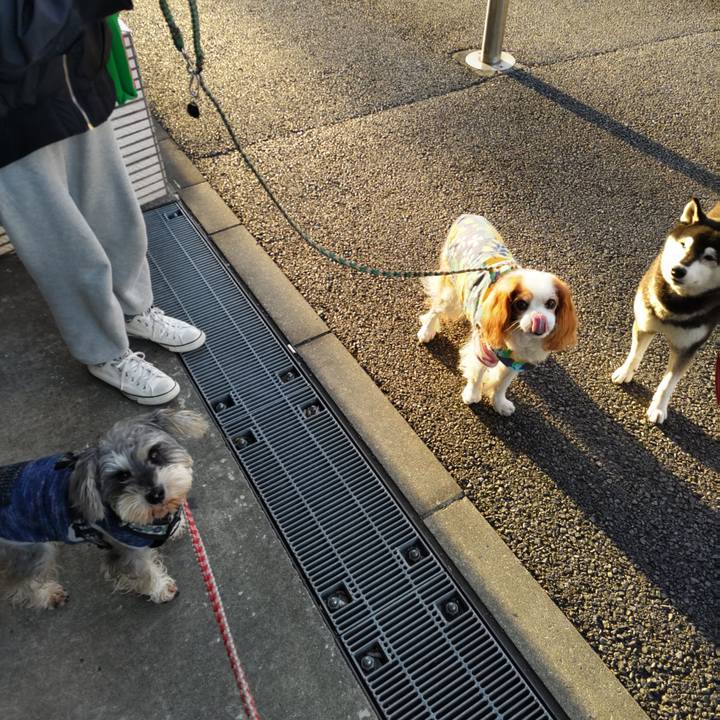 B07aff75 d0f2 409c 8358 2f2066fe33d4 1702085220197