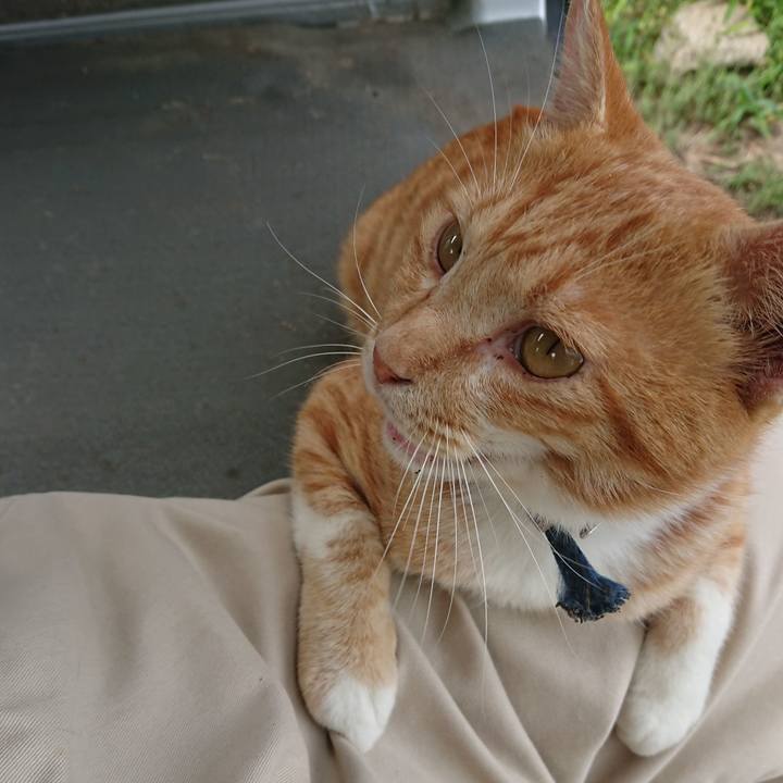 B07aff9e aa30 4757 a01f e476c6e4c03a 1566633442083