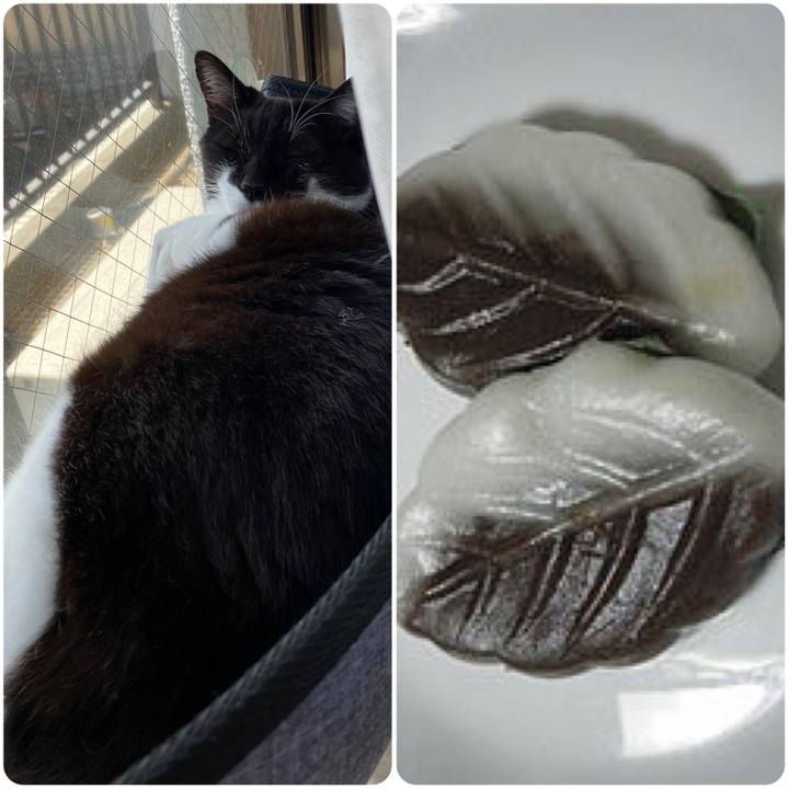 B07b1772 c364 463c bf58 adf4f18fea19 1648445717241