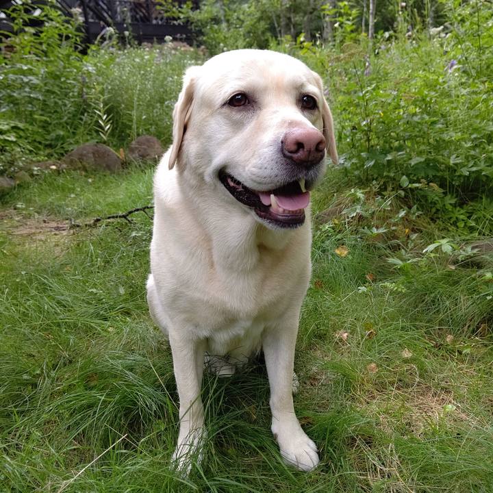 B07b6b56 e667 4dc2 9877 dfc2627e2575 1691156626872