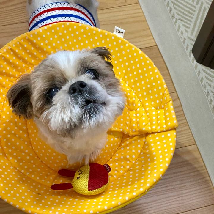 B07ba2e7 69d5 4052 bb9a 09732b06e761 1661774740730