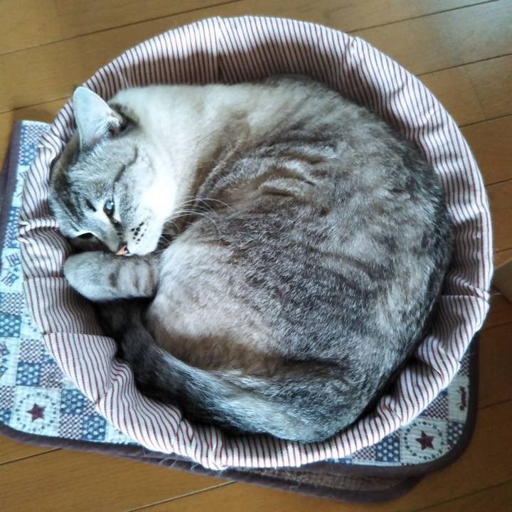 B07bbf10 4ecc 4092 8af0 ebb44550ebdb 1567918868357