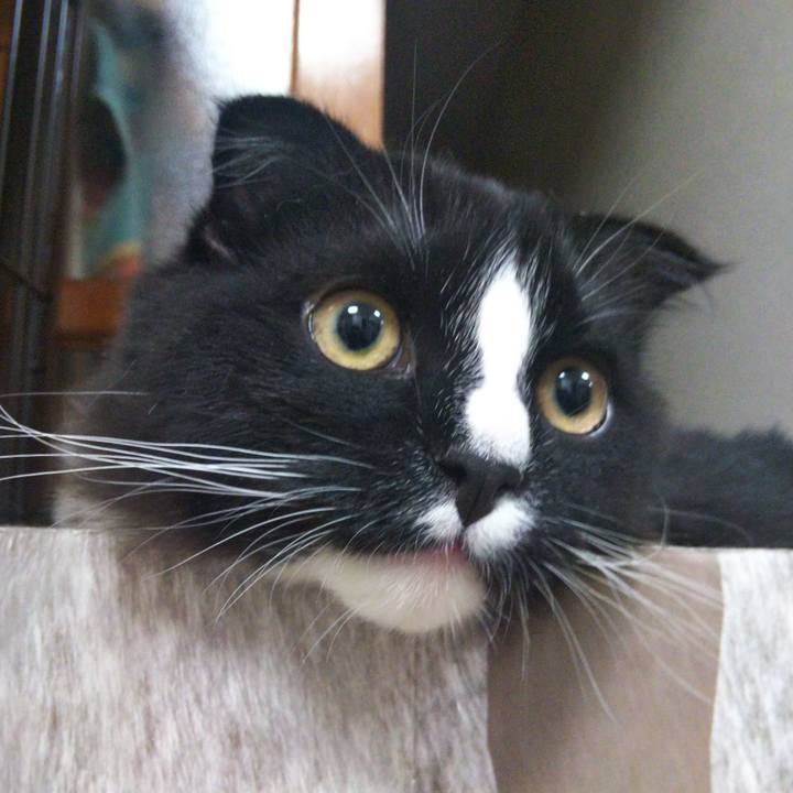 B07c0c82 0162 4025 b087 3a94b69250dd 1646143382761