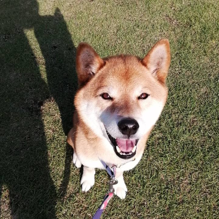 B07c2114 f04e 4b08 8bd0 a9623bc301e6 1620026304920