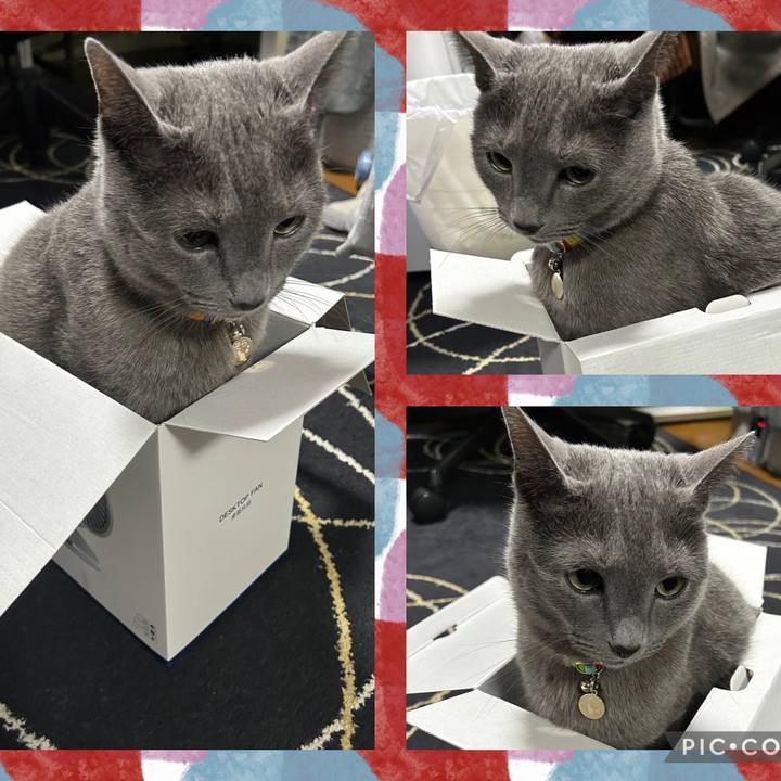 B07c3725 ef7c 4964 b67e 04e846a60578 1678187558883