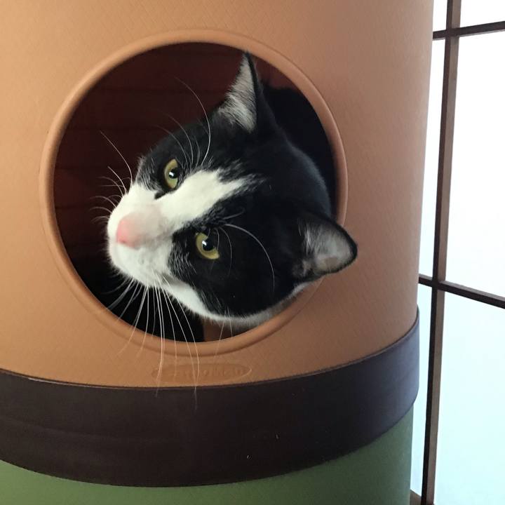 B07c402c d249 420a 9ab5 27774b5ef871 1648167222025