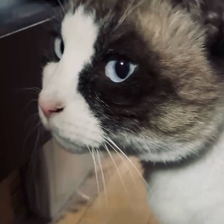 B07c4f9d d6f1 4f5b a9da ba49b8cedf0e 1766396762160