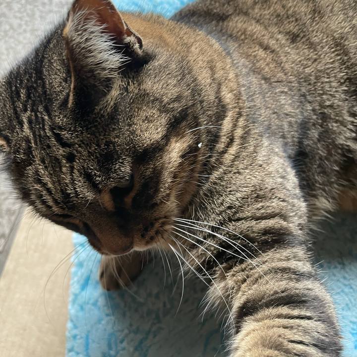 B07cd000 5a34 49aa 9fb9 709f46922a2a 1611802783216