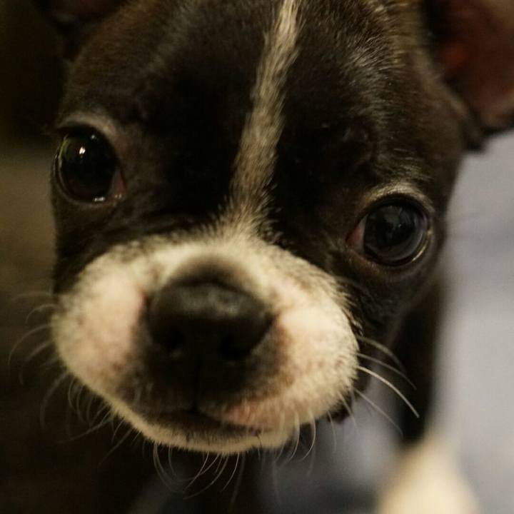 B07cfce6 d208 42dc 9728 ad9f380dcaf5 1539315297466