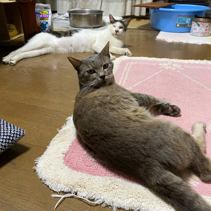 B07d0eb0 0ffa 4c85 bfee faab2f320025 1627107158856