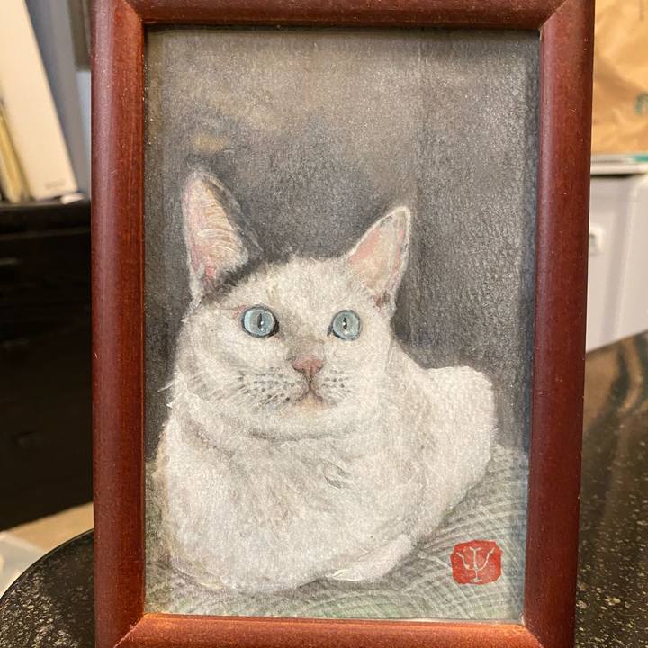 B07d33f0 6b18 4c94 926f ecc9bbb524b4 1737460549488