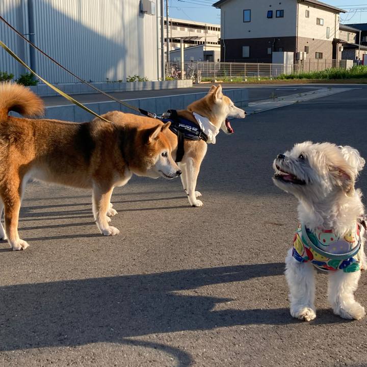 B07d4308 2c89 4277 ac63 f267db4cac47 1718184684829