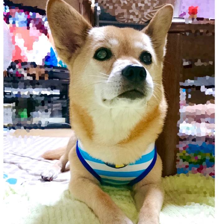 B07d5547 c20e 4564 8a8e 99e893e642b2 1634135667947