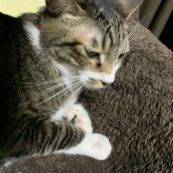 B07d5eae 4f37 475d 86f4 263fadfeb0f5 1578302306768