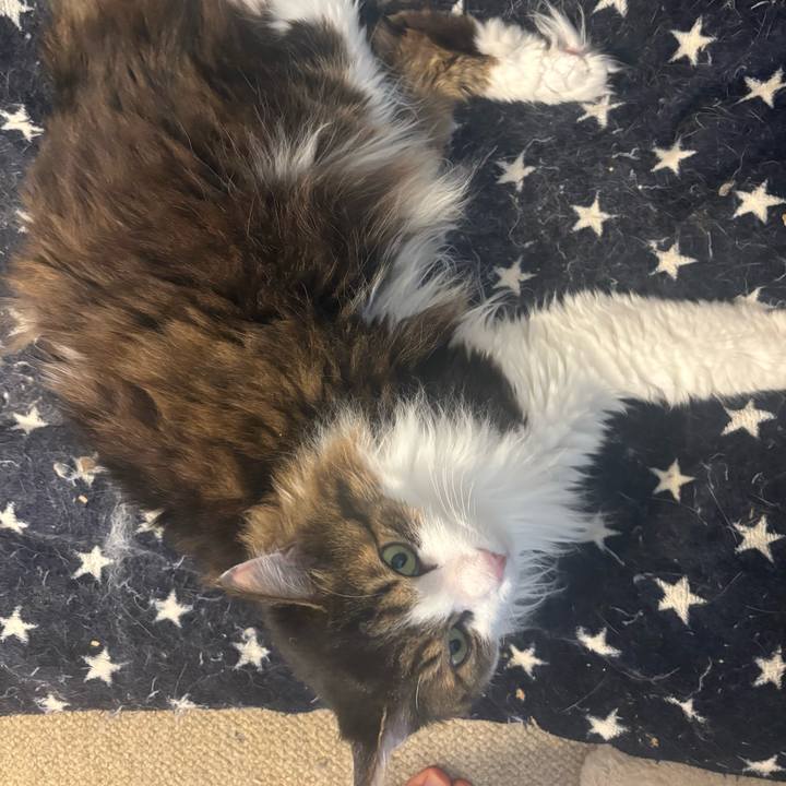 B07d64e3 0381 4ed7 a30f fa39b5ecc72c 1774919540710