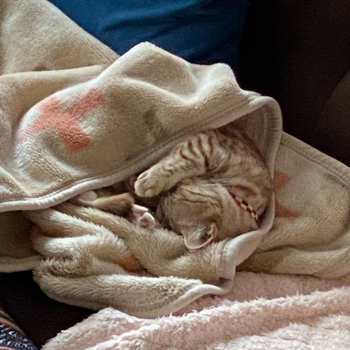 B07d6c15 e2eb 43b1 aca8 fb11452986ae 1642217199351