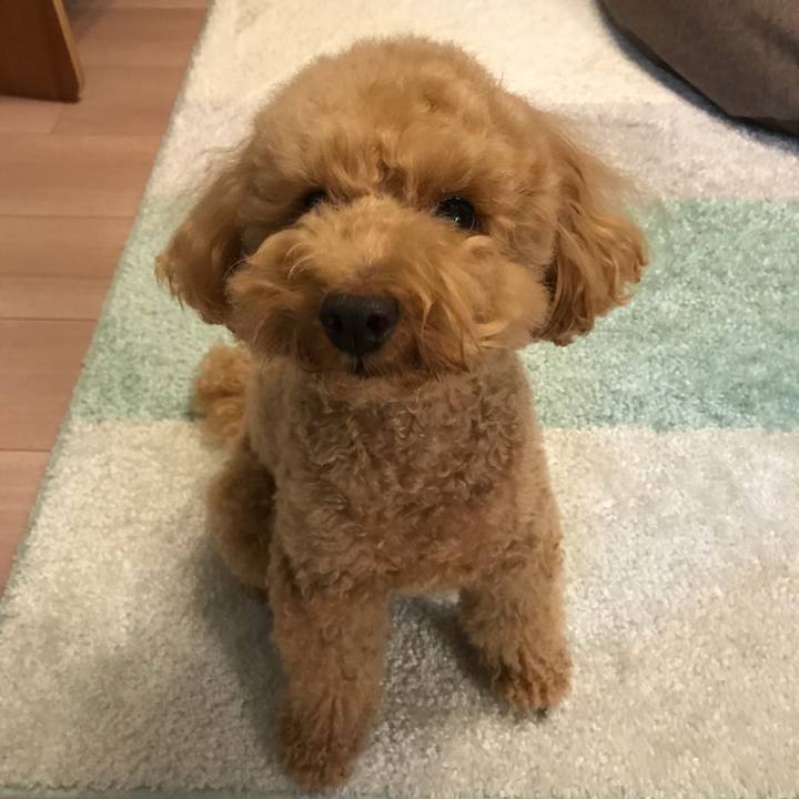 B07d759f 2846 4d22 a326 0916723e74ea 1513682658095