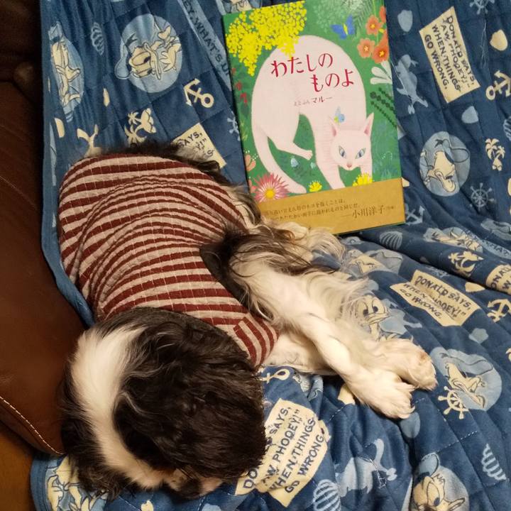 B07d7bbf 608d 46ea 9412 6481b0ea28c7 1557416759451