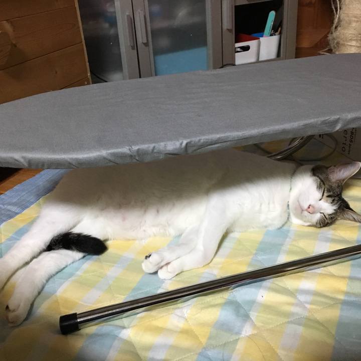 B07da697 2d3b 4268 bb2b 4a0724600fff 1526741536317