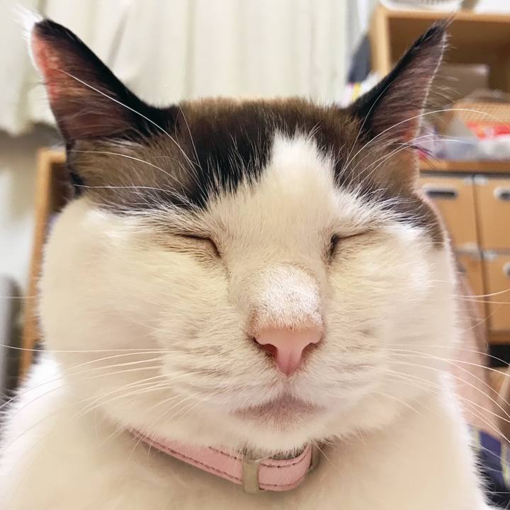 B07db5a8 2627 4eb3 86c3 d1354c1f1b0d 1527772226903