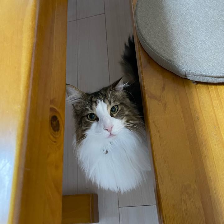 B07dbe13 ae81 47aa 8587 b61be114d420 1677182176259