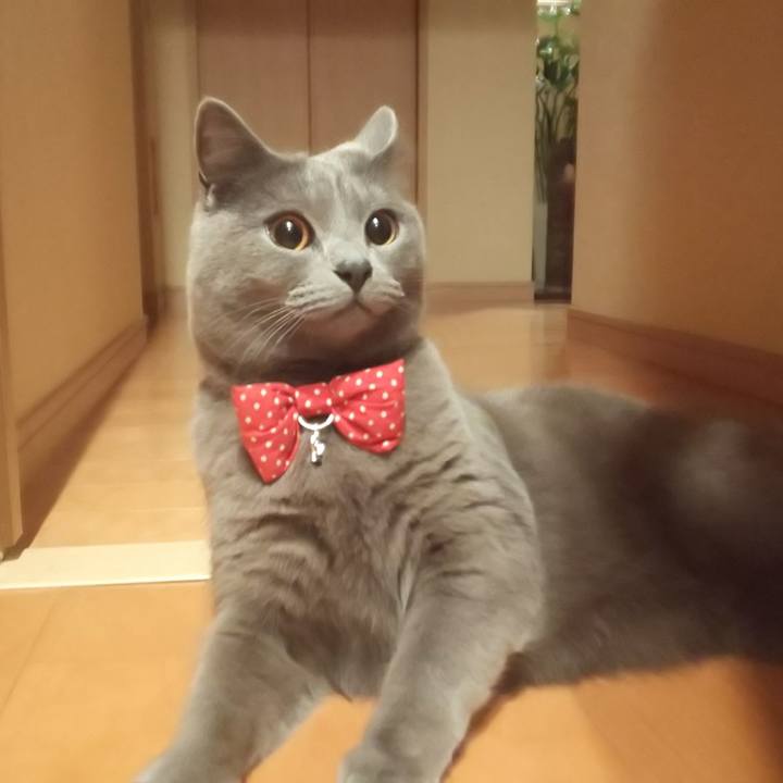 B07df53b 3eb5 4d4e 8a0f 4989d699a154 1548198839971