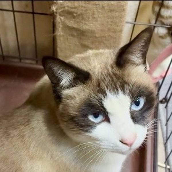 B07e03a6 9cf3 4171 8f84 cec0ee1c3998 1768816497110