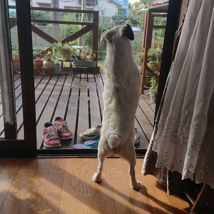 B07e12df a0bb 43d8 a46f 0a44789c8b0b 1539040556965