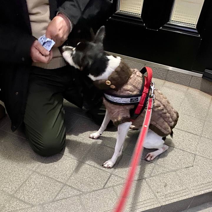 B07e24dd 9b5b 4236 8f24 1221e58c3530 1582148048874