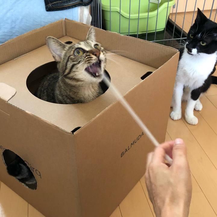 B07e50d9 6485 421d 9d6f 76350683bc59 1532930698248