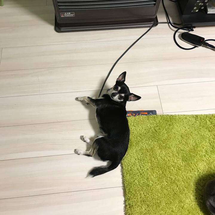 B07e610c 3884 412b b131 e02fbd6b06f7 1513493130810