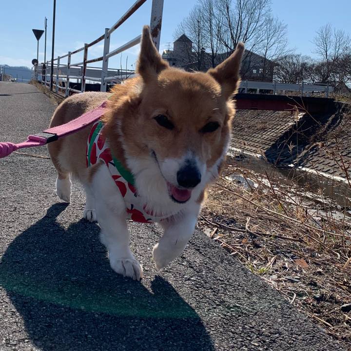 B07e75dd a1f2 452d bda2 3c79e7b61ba7 1706591422583