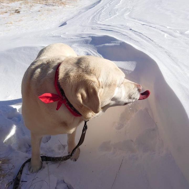 B07e79ea 878a 4138 9e54 b5475e3ccd55 1768387218495