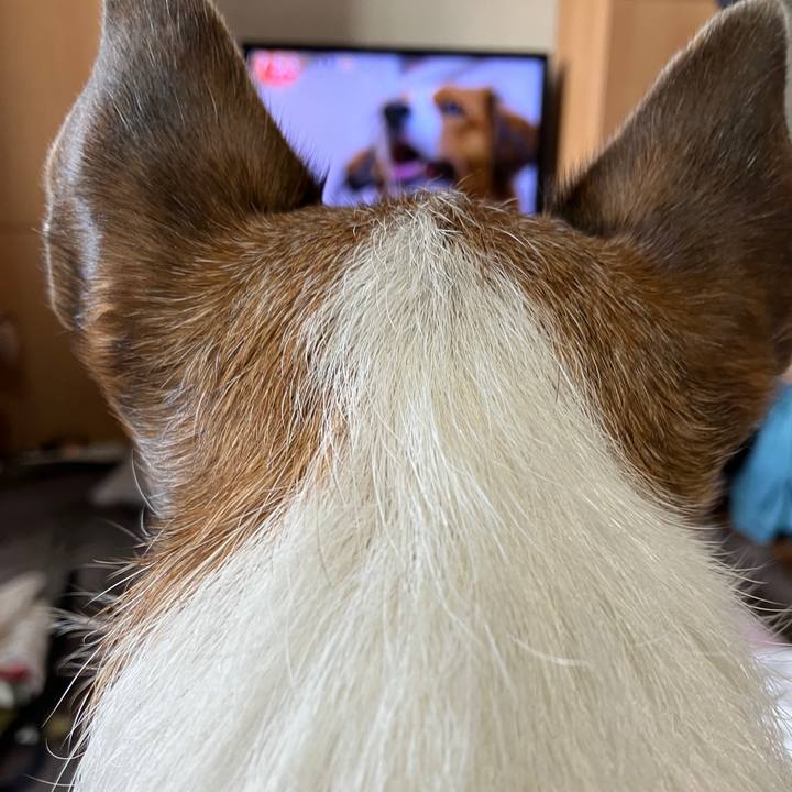 B07eb062 8522 4956 914a 6dbc013256cf 1707952947459