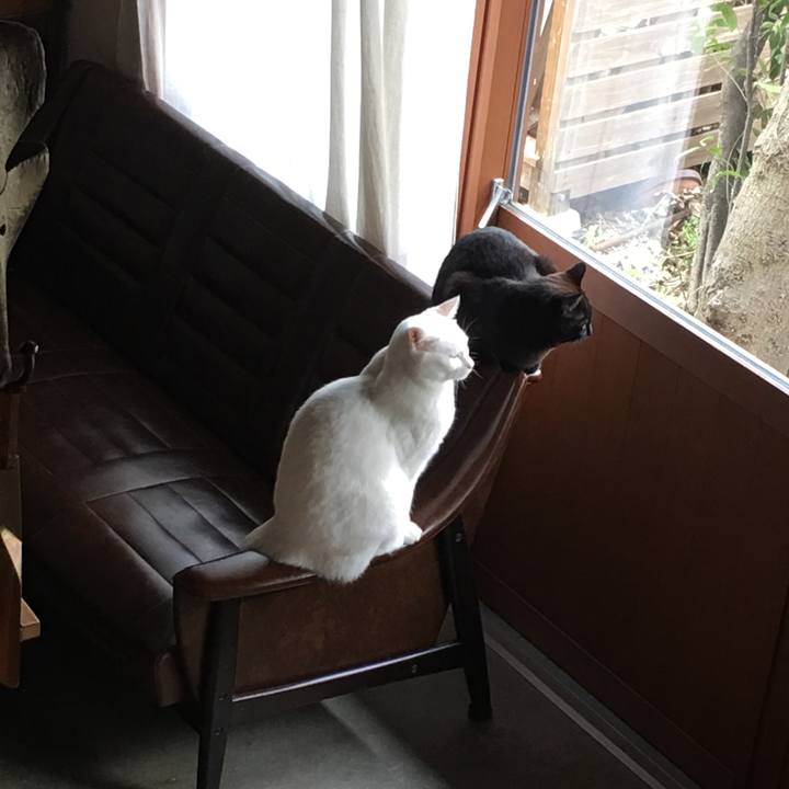 B07ec49b 02cf 407e a256 dfc3fce311bb 1553910746654