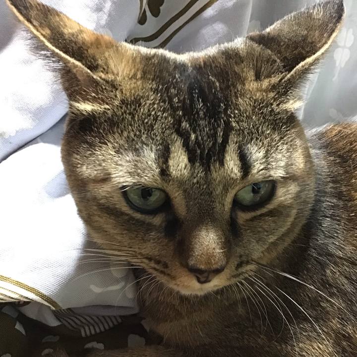 B07ecd20 ff99 4e92 8294 366e6923727a 1666955255809