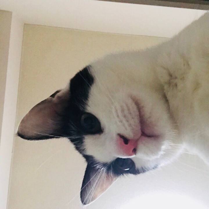 B07ed206 1889 4ce7 9fb5 ecfe0aea468d 1509554509797