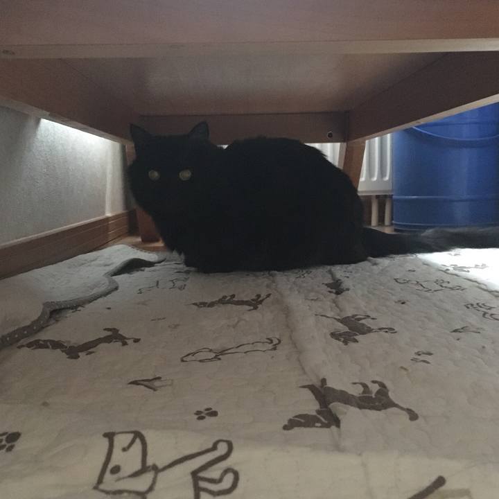 B07f50d3 0b08 4ffe be5c 36d645e88c0d 1522736241823