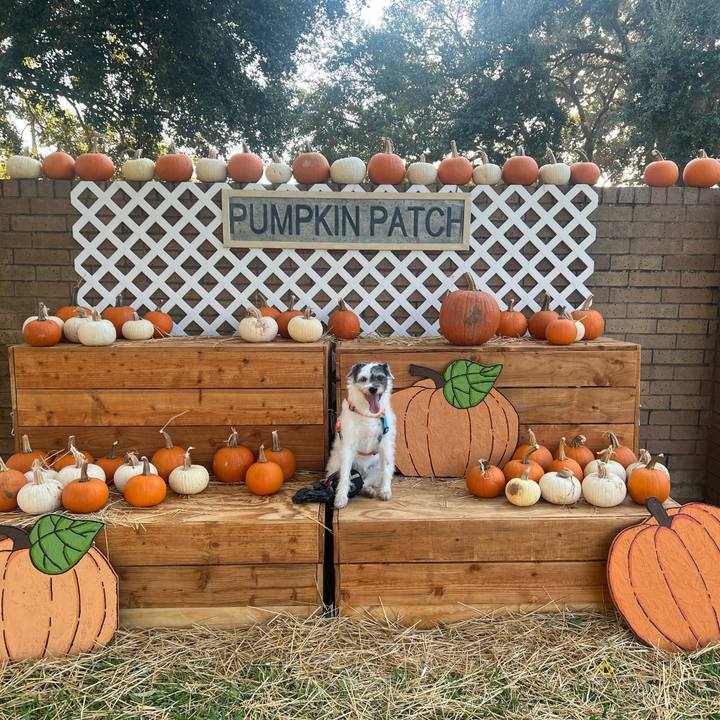 B07f510f 1fb8 46a6 a79b 14c4196348c8 1728084768417