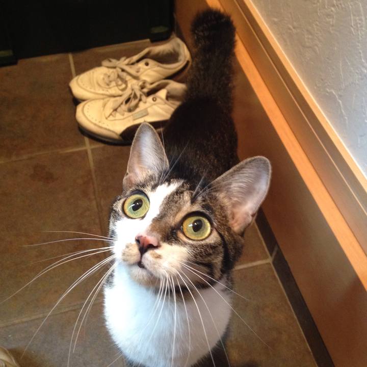 B07f54ac bebe 43fe 83c5 74637013542f 1508737579922