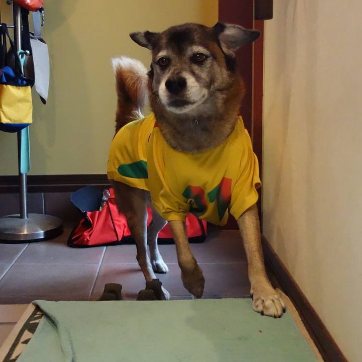 B07f7b90 74c8 42a9 9d69 a06f9a2d8a73 1540645906606