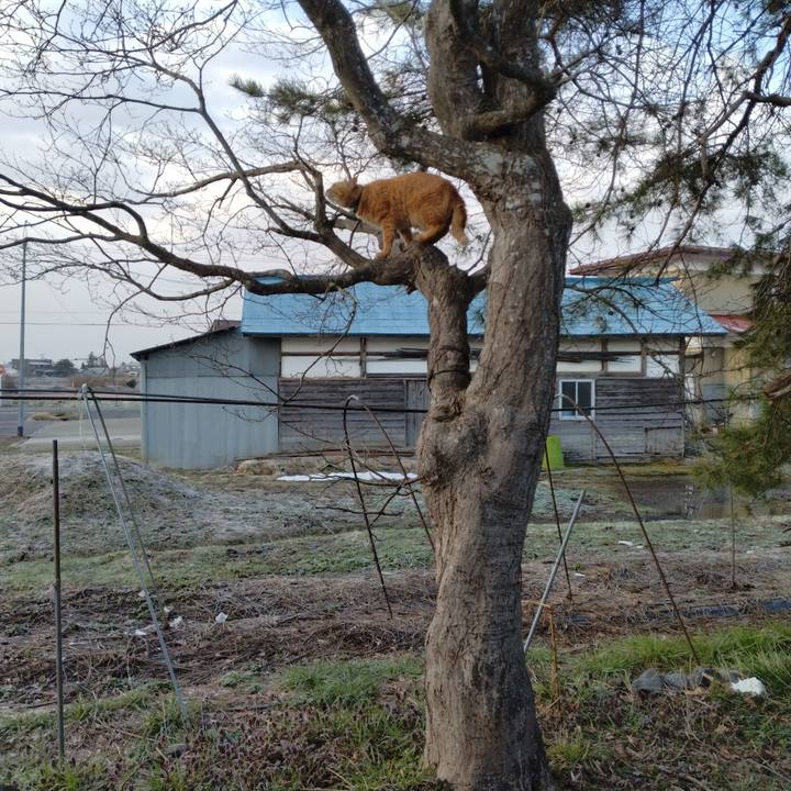 B07f7baf bb7d 4e47 9e0c 034594a906be 1680041877726