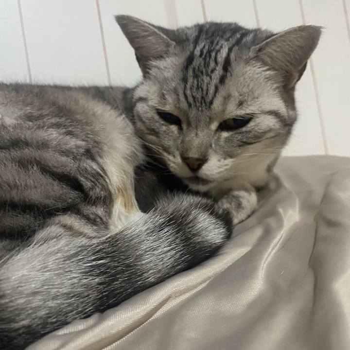 B07f874d dd45 4eb3 ab95 fb3834b11360 1717602430591