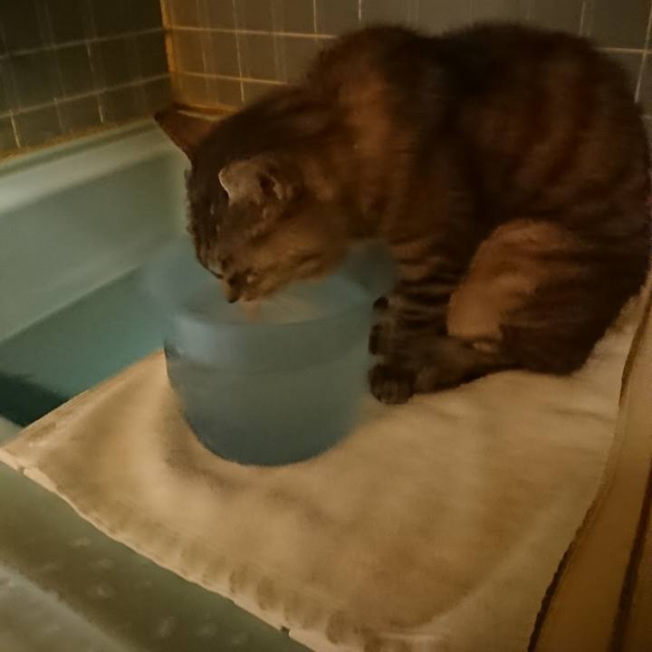 B07f9224 4d0e 4a76 95c0 4f16e62f26a7 1570444392544