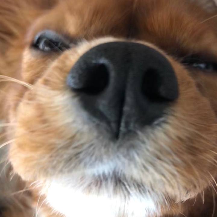 B07fcf57 2aab 40a9 bcc1 d2b9775b9d29 1545308517609