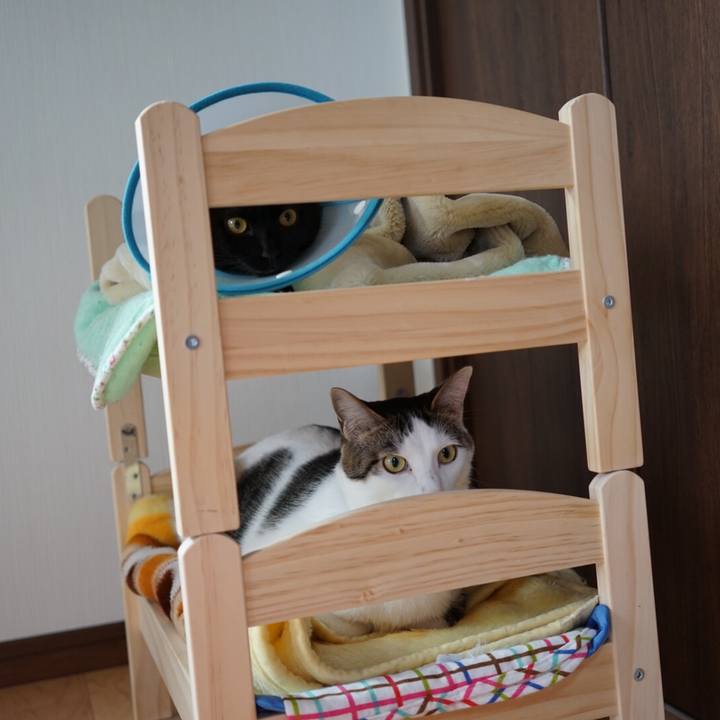 B080af8d 8a98 4308 8e40 318cae5ca435 1512638391984